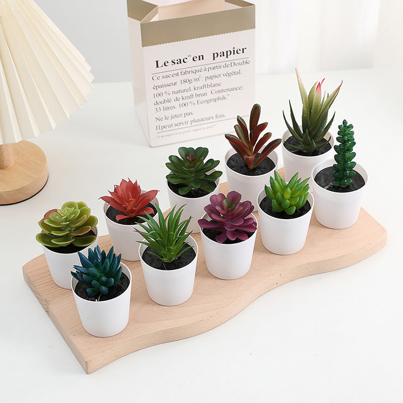 Simulated succulent potted plants wholesale, fake succulent plants with pot mixed batch factory direct sales office green plant ornament