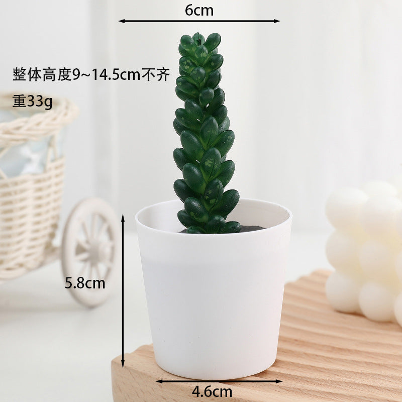 Simulated succulent potted plants wholesale, fake succulent plants with pot mixed batch factory direct sales office green plant ornament