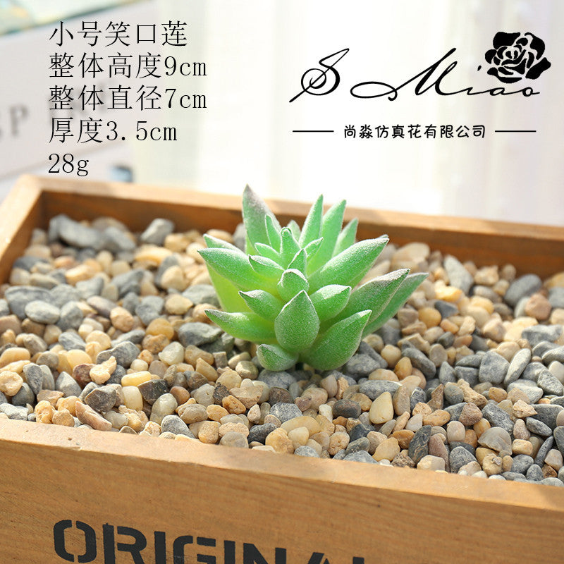 Artificial green succulent flower head creative DIY supplies bonsai accessories artificial flower Jinhua directly from the manufacturer