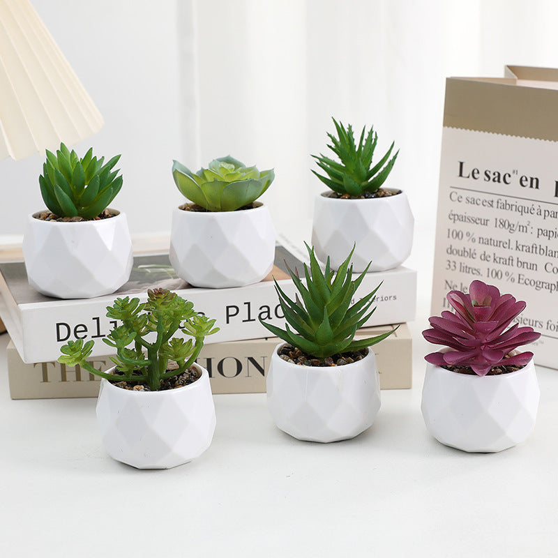 Simulated succulent potted plants wholesale, fake succulent plants with pot mixed batch factory direct sales office green plant ornament