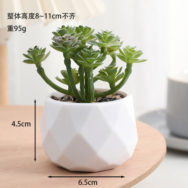 Simulated succulent potted plants wholesale, fake succulent plants with pot mixed batch factory direct sales office green plant ornament