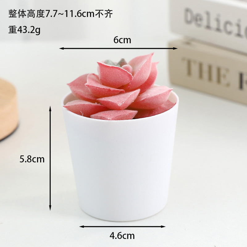 Simulated succulent potted plants wholesale, fake succulent plants with pot mixed batch factory direct sales office green plant ornament