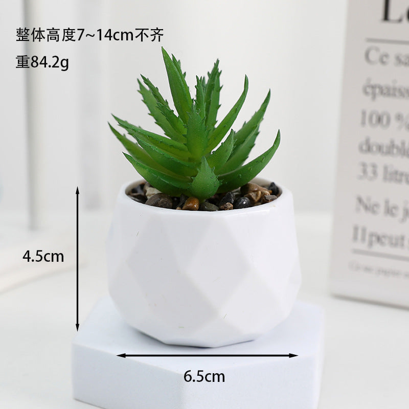 Simulated succulent potted plants wholesale, fake succulent plants with pot mixed batch factory direct sales office green plant ornament