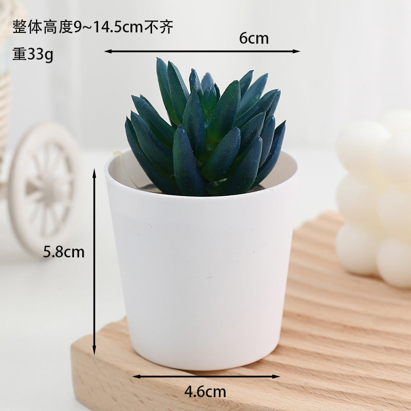 Simulated succulent potted plants wholesale, fake succulent plants with pot mixed batch factory direct sales office green plant ornament