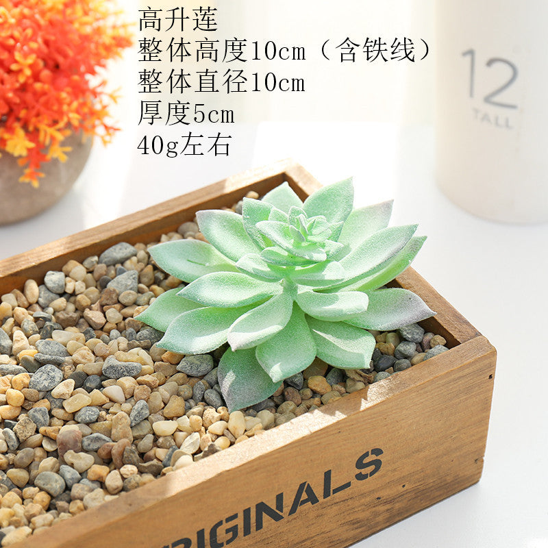 Artificial green succulent flower head creative DIY supplies bonsai accessories artificial flower Jinhua directly from the manufacturer