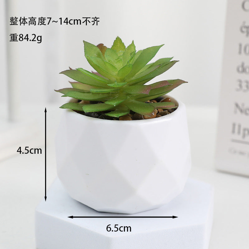 Simulated succulent potted plants wholesale, fake succulent plants with pot mixed batch factory direct sales office green plant ornament