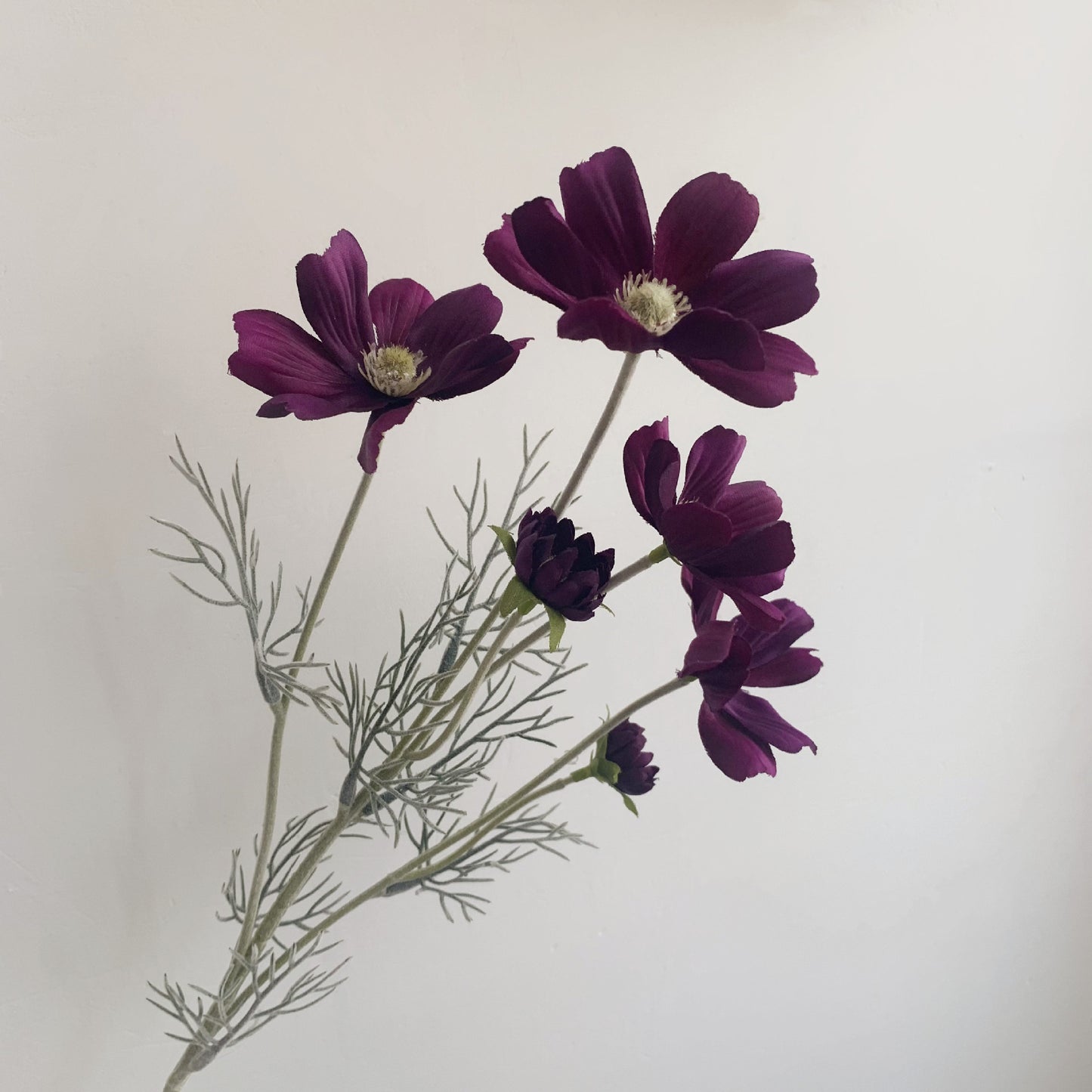 Manufacturer Supply Home Decoration Wedding Fake Flower Pastoral Floral Simulation Flower Silk Flower Gesang Chrysanthemum Small Chrysanthemum Cosmos Chrysanthemum
